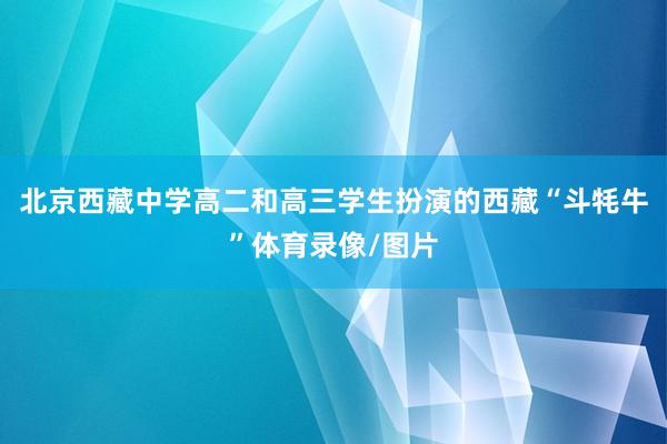北京西藏中学高二和高三学生扮演的西藏“斗牦牛”体育录像/图片