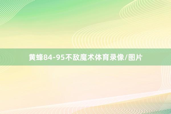 黄蜂84-95不敌魔术体育录像/图片