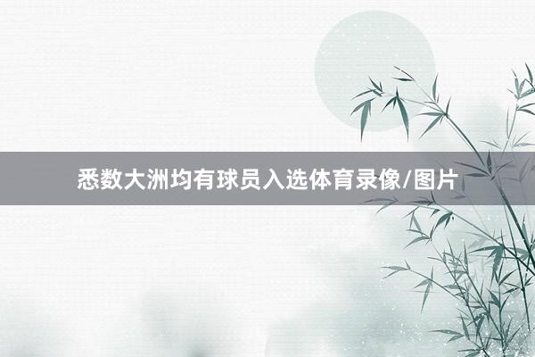 悉数大洲均有球员入选体育录像/图片