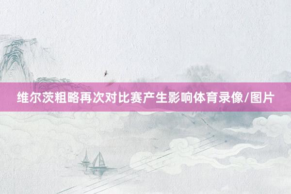 维尔茨粗略再次对比赛产生影响体育录像/图片