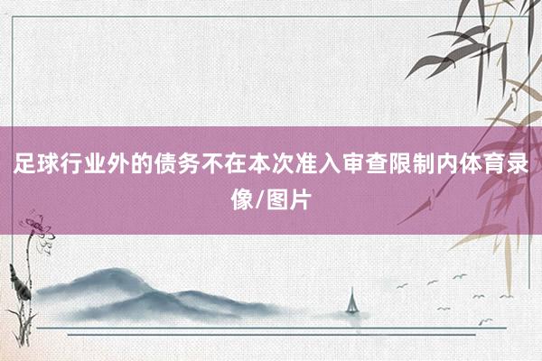 足球行业外的债务不在本次准入审查限制内体育录像/图片