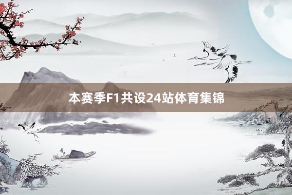 本赛季F1共设24站体育集锦