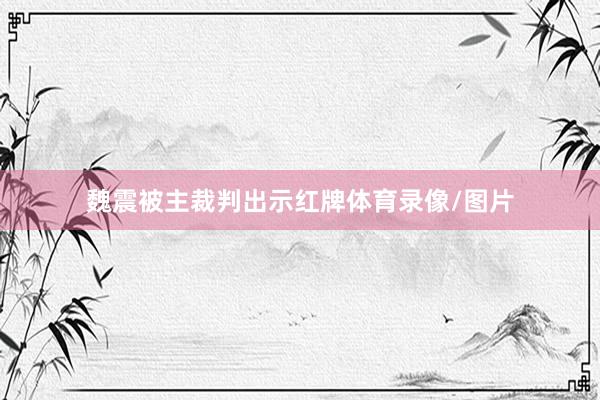 魏震被主裁判出示红牌体育录像/图片