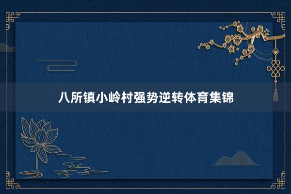八所镇小岭村强势逆转体育集锦