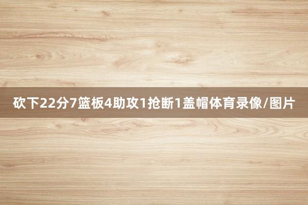 砍下22分7篮板4助攻1抢断1盖帽体育录像/图片