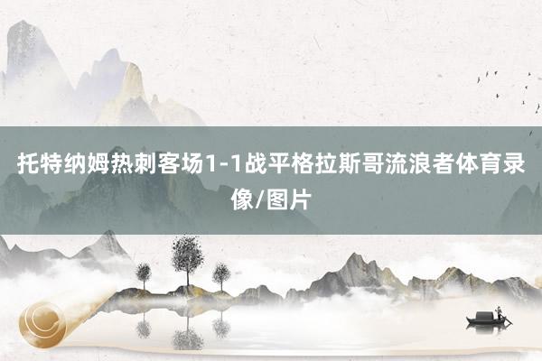 托特纳姆热刺客场1-1战平格拉斯哥流浪者体育录像/图片