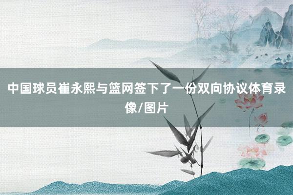 中国球员崔永熙与篮网签下了一份双向协议体育录像/图片