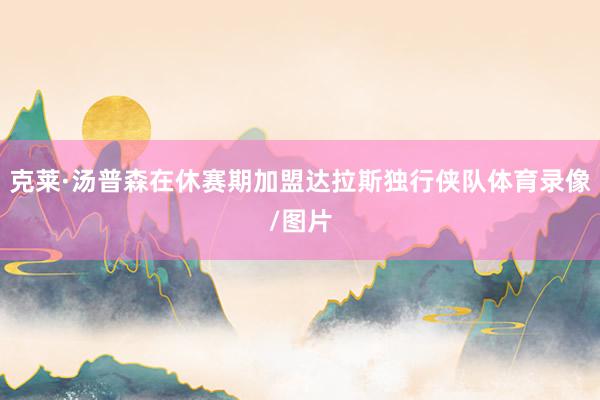 克莱·汤普森在休赛期加盟达拉斯独行侠队体育录像/图片