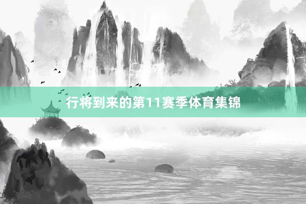 行将到来的第11赛季体育集锦
