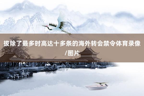 拔除了最多时高达十多条的海外转会禁令体育录像/图片