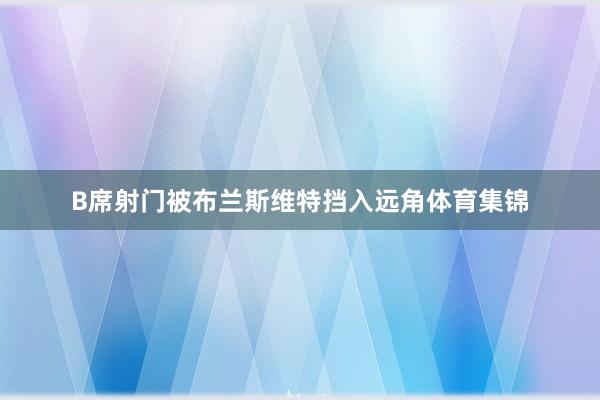 B席射门被布兰斯维特挡入远角体育集锦