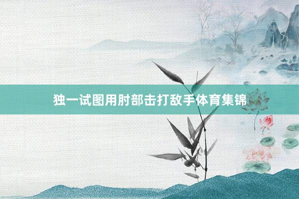 独一试图用肘部击打敌手体育集锦