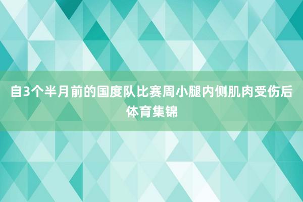自3个半月前的国度队比赛周小腿内侧肌肉受伤后体育集锦
