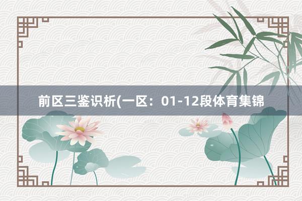 前区三鉴识析(一区:01-12段体育集锦