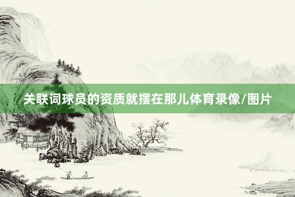 关联词球员的资质就摆在那儿体育录像/图片