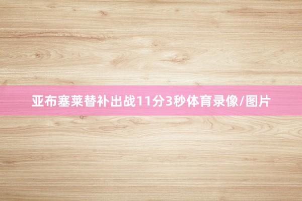 亚布塞莱替补出战11分3秒体育录像/图片