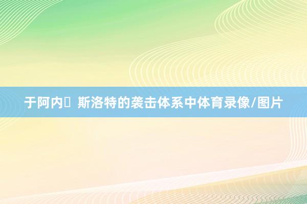 于阿内・斯洛特的袭击体系中体育录像/图片