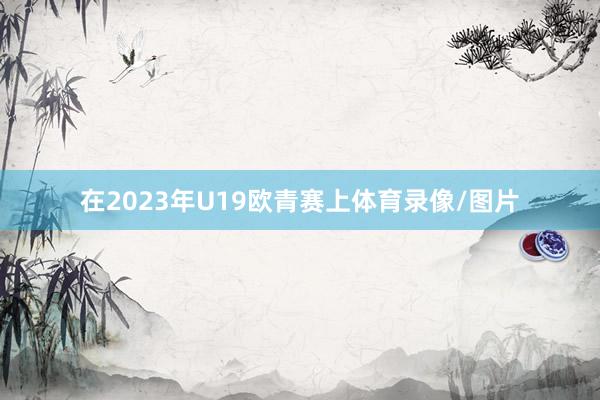 在2023年U19欧青赛上体育录像/图片