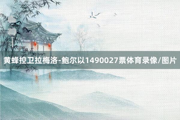 黄蜂控卫拉梅洛-鲍尔以1490027票体育录像/图片