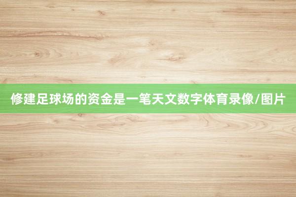 修建足球场的资金是一笔天文数字体育录像/图片