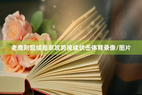 老鹰则延续是非攻势接续伏击体育录像/图片
