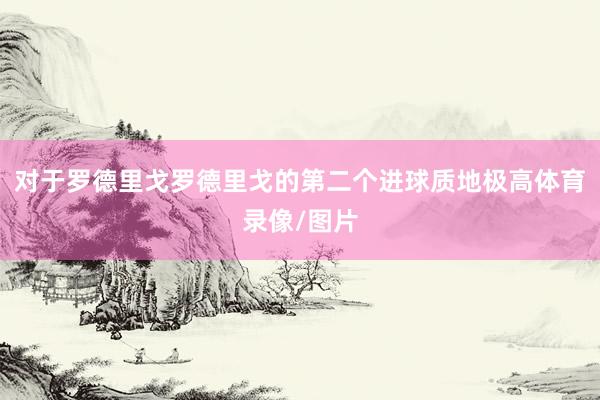 对于罗德里戈罗德里戈的第二个进球质地极高体育录像/图片