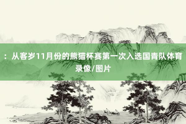 :从客岁11月份的熊猫杯赛第一次入选国青队体育录像/图片