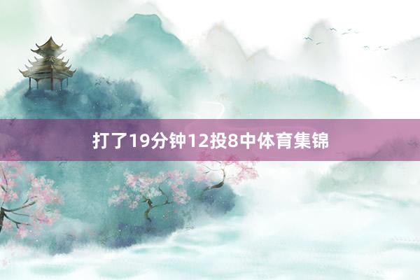 打了19分钟12投8中体育集锦