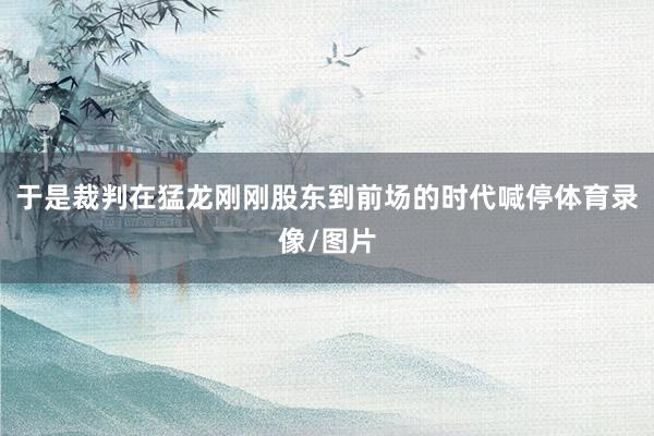 于是裁判在猛龙刚刚股东到前场的时代喊停体育录像/图片