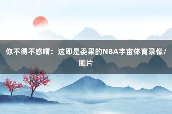 你不得不感喟:这即是委果的NBA宇宙体育录像/图片