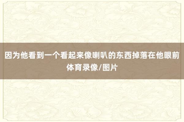 因为他看到一个看起来像喇叭的东西掉落在他眼前体育录像/图片