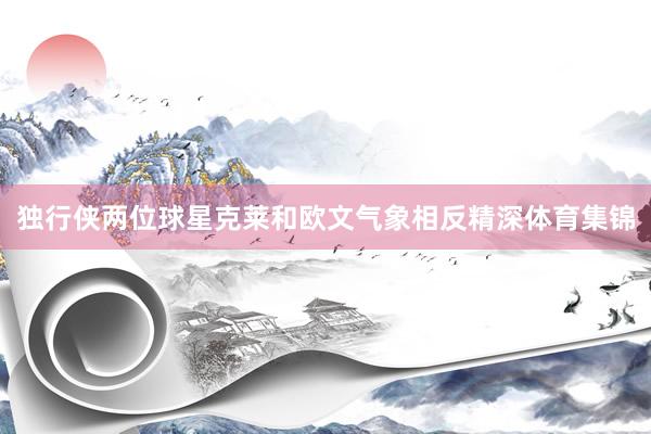 独行侠两位球星克莱和欧文气象相反精深体育集锦