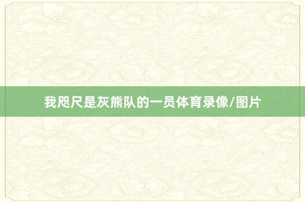 我咫尺是灰熊队的一员体育录像/图片