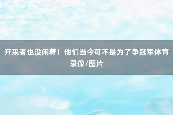 开采者也没闲着!他们当今可不是为了争冠军体育录像/图片