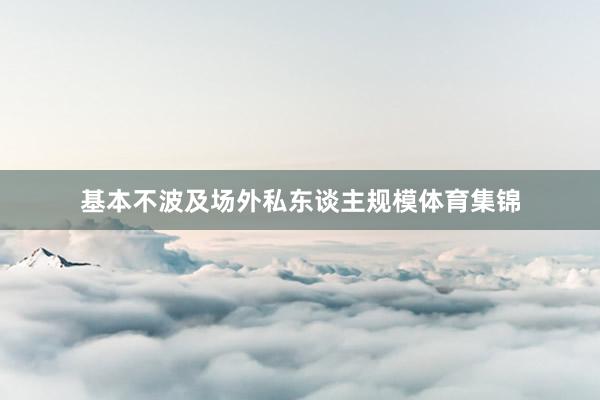 基本不波及场外私东谈主规模体育集锦