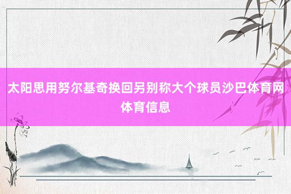 太阳思用努尔基奇换回另别称大个球员沙巴体育网体育信息