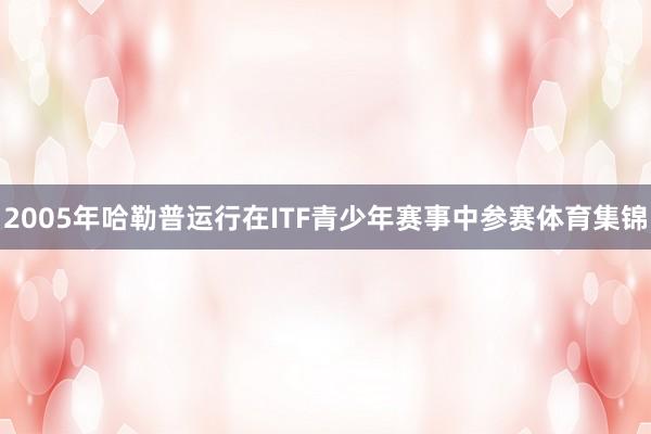 2005年哈勒普运行在ITF青少年赛事中参赛体育集锦