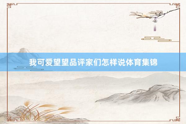 我可爱望望品评家们怎样说体育集锦