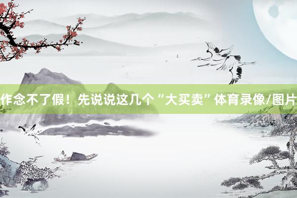 作念不了假！先说说这几个“大买卖”体育录像/图片