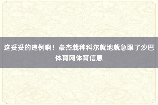 这妥妥的违例啊!豪杰栽种科尔就地就急眼了沙巴体育网体育信息