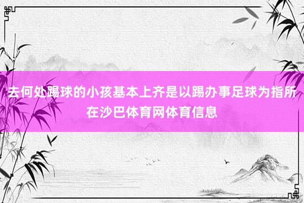 去何处踢球的小孩基本上齐是以踢办事足球为指所在沙巴体育网体育信息