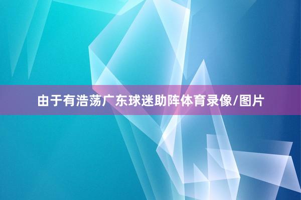 由于有浩荡广东球迷助阵体育录像/图片