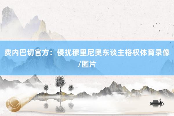 费内巴切官方:侵扰穆里尼奥东谈主格权体育录像/图片