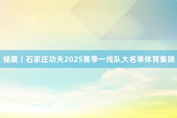 储藏｜石家庄功夫2025赛季一线队大名单体育集锦