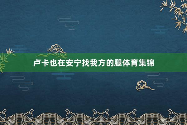 卢卡也在安宁找我方的腿体育集锦