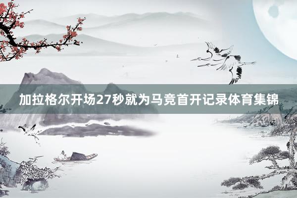 加拉格尔开场27秒就为马竞首开记录体育集锦
