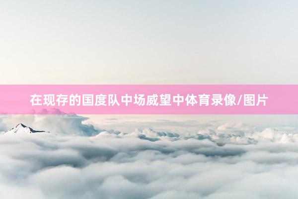 在现存的国度队中场威望中体育录像/图片