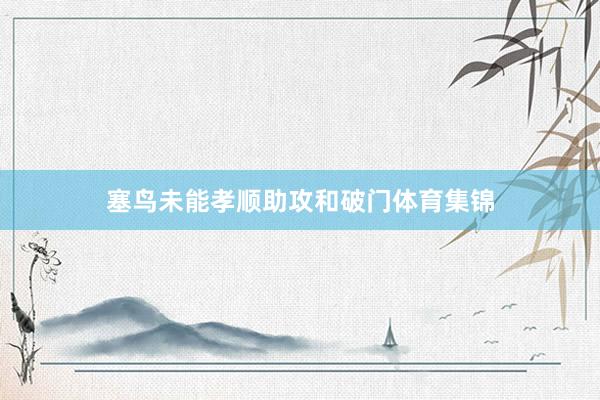 塞鸟未能孝顺助攻和破门体育集锦