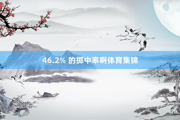 46.2% 的掷中率啊体育集锦