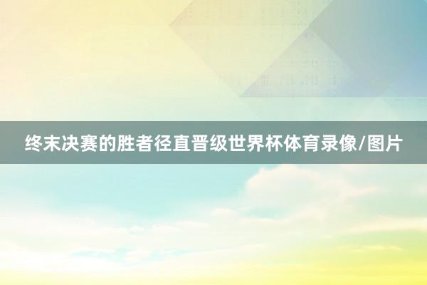终末决赛的胜者径直晋级世界杯体育录像/图片